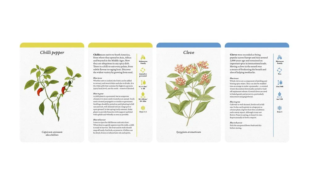 A Kitchen Full of Herbs : A Practical Card Deck