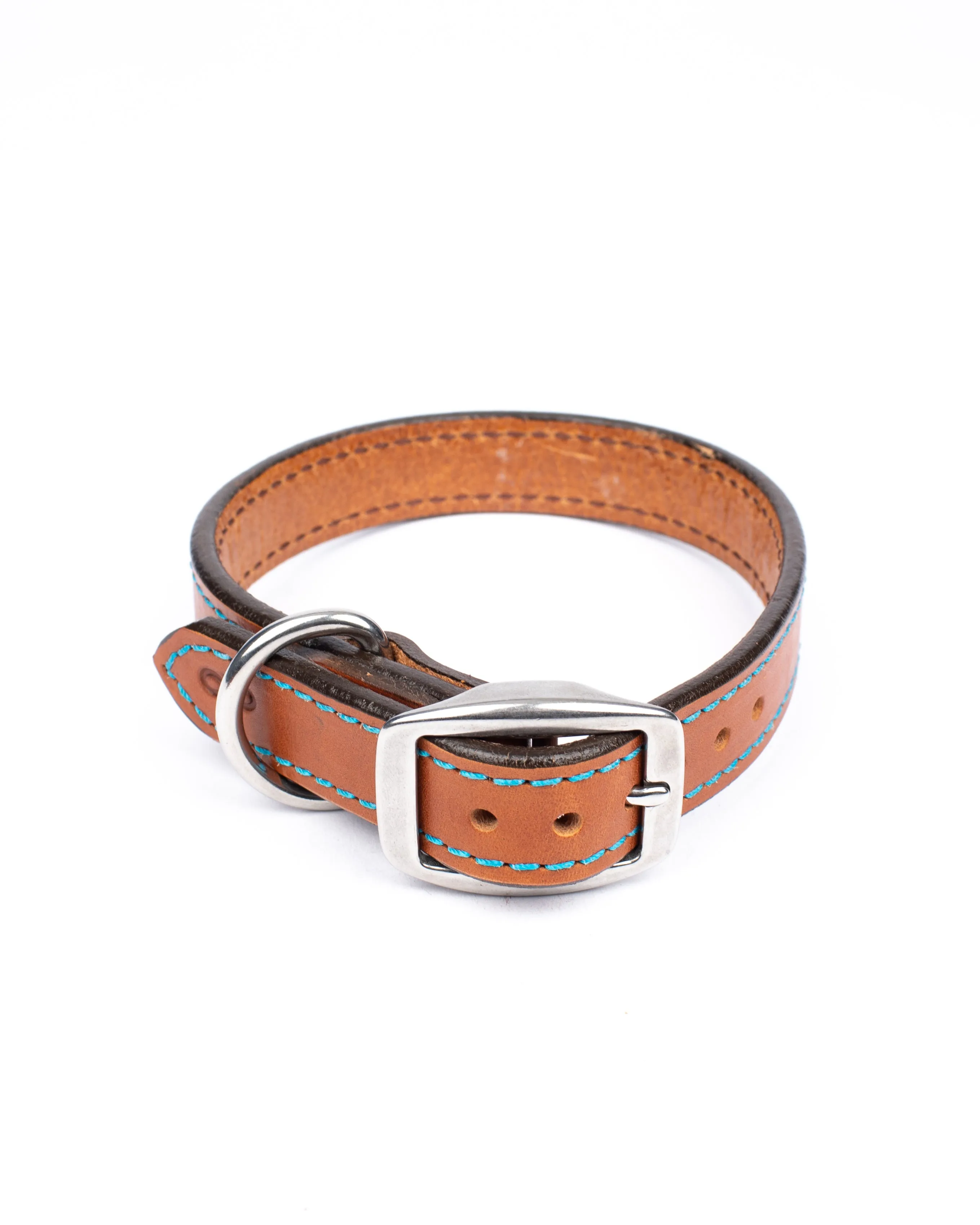 Custom Dog Collar