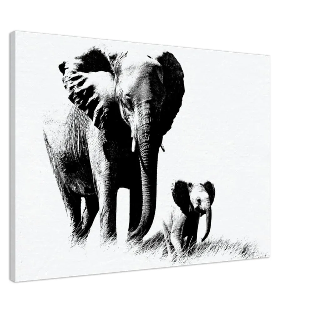 Decorative Wall Art / Black and White Canvas Elephant Print